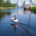 Cases: Seatfoil fotografie en video's